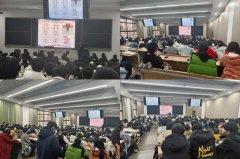 系统化、布局化的